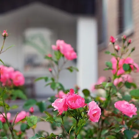 Am Steinberg 3* ヒルデスハイム